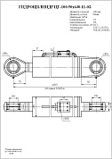 Гидроцилиндр ЦГ-100.50х630.11-02