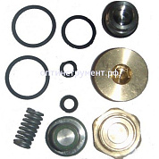 6700160 Ремкомплект всасывающего клапана RB60PM/R