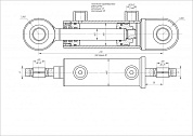 Гидроцилиндр ЦГ-50.25х80.11